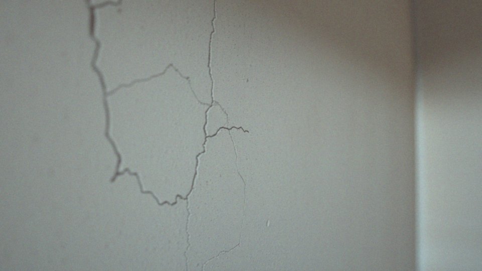 Dlaczego rybiki nie są groźne dla ludzi i jakie mają preferencje?