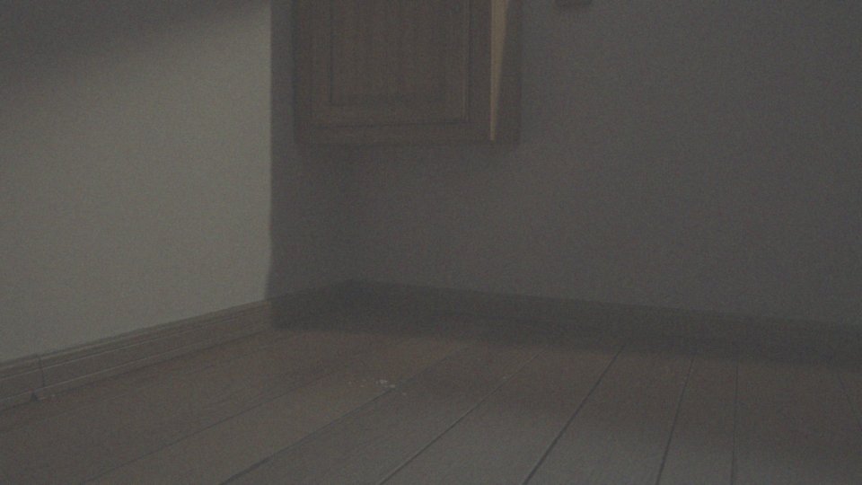 Jakie są nawyki rybików w obecności ludzi?