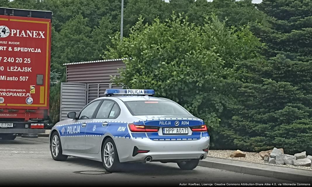 Zatrzymanie sprawcy uszkodzeń samochodów w Ostródzie