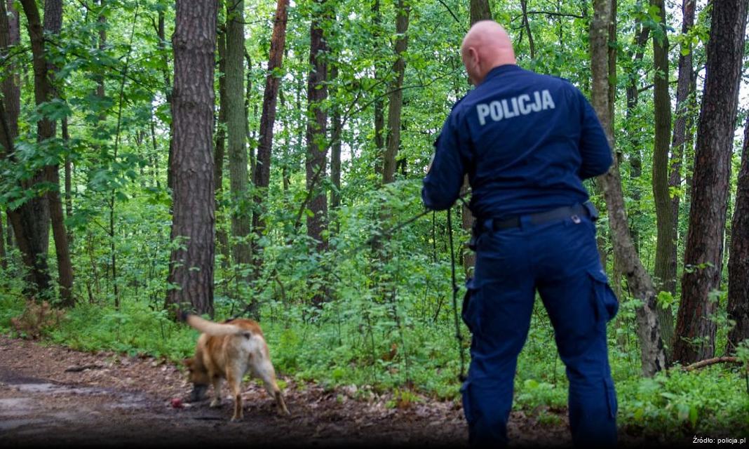 Zatrzymanie poszukiwanego przez policję w Morągu