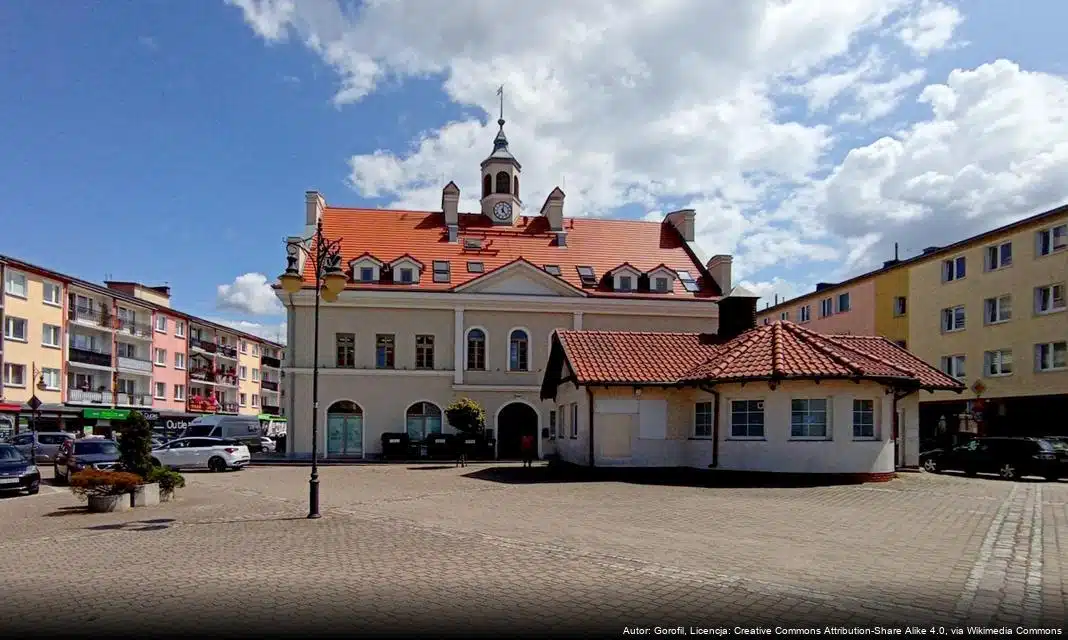 Apel do mieszkańców Ostródy o odśnieżanie chodników i dachów