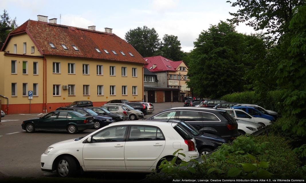 Warsztaty diagnostyczne dla rozwoju Ostródy