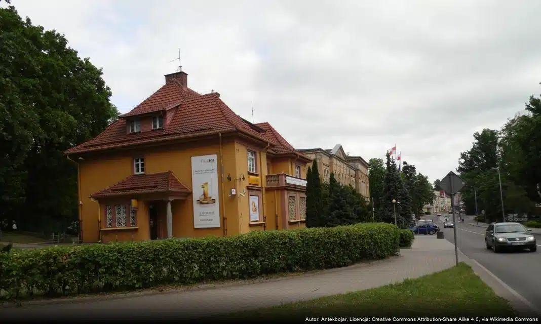 Pchli Targ w Ostródzie – edycja świąteczna już 19 grudnia